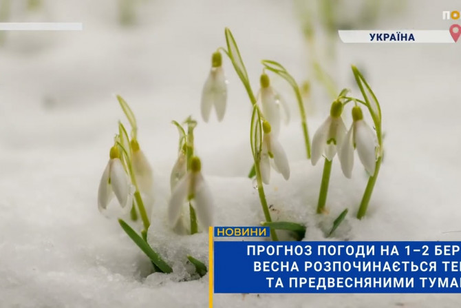 Погляд — новини Київщини онлайн - a13113b0-b9f4-4794-a69b-1f21e9e5fa60 - зображення